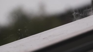 Yağmurlu bir günde yağmur damlaları pencere kenarına düşer, ağır çekimde. Fırtına sırasında pencere pervazı, yakın çekim. Yağmur damlaları pencere pervazına vuruyor. Arka plan bulanık. Sonbahar yağmuru bir çıkıntıya düşüyor. Gri ruh hali