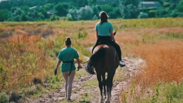 Vista Trasera Una Joven Montando Caballo Sendero Campo Paseos Caballo — Vídeos de Stock