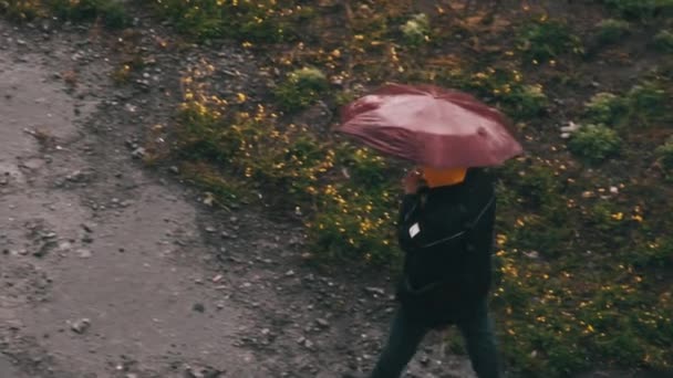 Man Umbrella Walks Muddy Path Puddles Rain Slow Motion Top — Stock Video