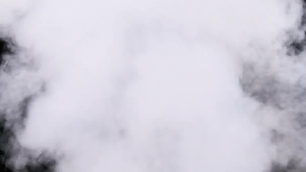 Реалистичный Дым Пара Облака Поднимаются Замедленной Съемке Использовать Композитном Видео — стоковое видео