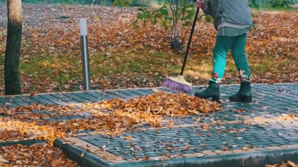 Operaio Spazza Foglie Gialle Cadute Nel Parco Inserviente Raccoglie Foglie — Video Stock