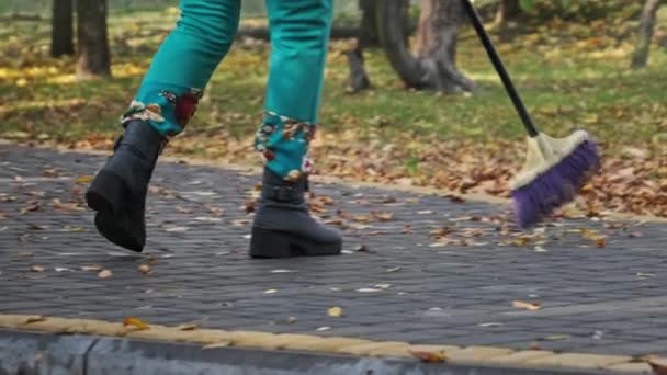 Vaktmästaren Sopar Fallna Gula Blad Parken Människa Med Kvast Sopar — Stockvideo