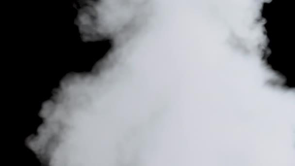 Rook Dampexplosie Met Alpha Kanaal Realistische Wolken Rijzen Transparante Achtergrond — Stockvideo