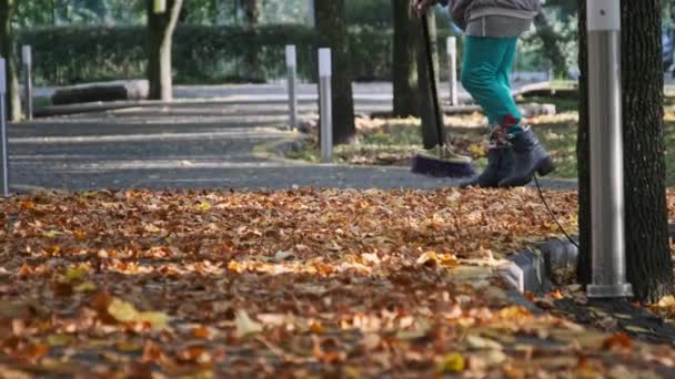 公園では黄色の葉が落ちた 秋の公園では ほうきを持った人間が石畳の上に葉を残します ユーティリティワーカーは葉を収集します 秋晴れ時の清掃場所 — ストック動画