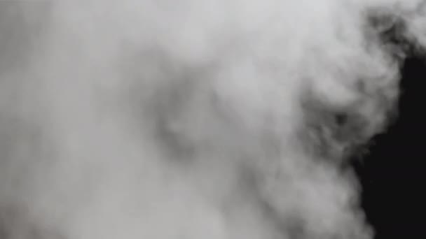 Rook Dampexplosie Met Alpha Kanaal Realistische Wolken Rijzen Een Transparante — Stockvideo
