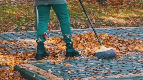 Conciërge Veegt Gevallen Gele Bladeren Het Stadspark Nutsbedrijven Verzamelen Gebladerte — Stockvideo
