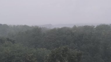 Sonbahar yeşil ormanının arka planında yavaş çekimde fırtına var. Şimşek yağmuru. Yağmur damlaları çam ağaçlarının arka planına düşer. Bulanık zemine şiddetli yağmur damlaları düşüyor