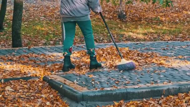 ユーティリティワーカーは公園内の黄色の葉を掃除します ジャンターは葉を集める 秋の都会の公園では ほうきを持った人間が石畳の上に葉を残します 晴れた日の秋の掃除の領土 — ストック動画