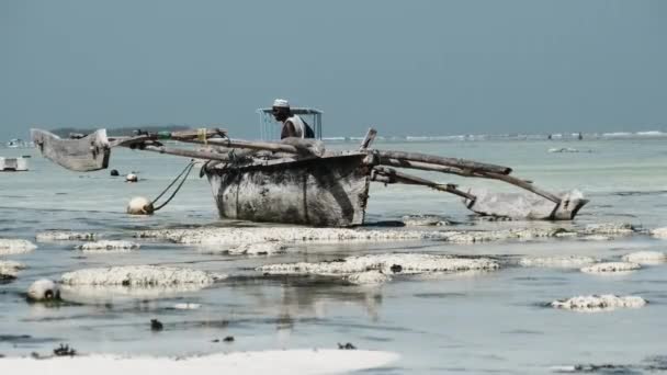 Zanzibar Matemwe February 2021 伝統的なアフリカ漁船が干潮時に砂浜に座礁 海岸近くのオーシャンによって砂州の上に座っている古い乾燥した木製のボート エキゾチックな海岸アフリカ — ストック動画