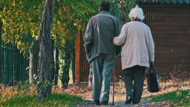 Старша Пара Тримає Руки Під Час Прогулянки Разом Осінньому Парку — стокове відео