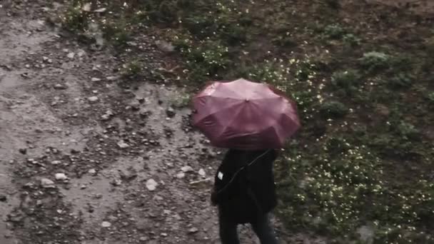 Homem Com Guarda Chuva Caminha Longo Caminho Enlameado Com Poças — Vídeo de Stock