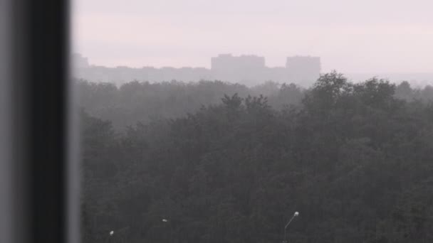 Gewitter Hintergrund Des Herbstlichen Grünen Waldes Zeitlupe Regen Mit Blitz — Stockvideo