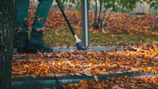 Υπάλληλος Κοινής Ωφέλειας Σκουπίζει Πεσμένα Κίτρινα Φύλλα Στο Πάρκο Επιστάτης — Αρχείο Βίντεο