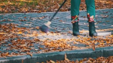 Elektrik işçisi parkta düşen sarı yaprakları süpürüyor. Hademe yeşillik topluyor. Süpürgeli bir insan, sonbahar parkındaki kaldırım taşlarının yapraklarını süpürüyor. Güneşli havada sonbahar temizlik bölgesi