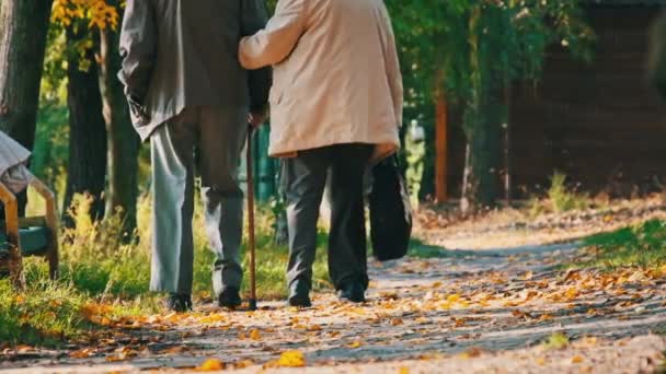 Старшая Пара Держась Руки Время Прогулки Осеннем Парке Замедленная Съемка — стоковое видео