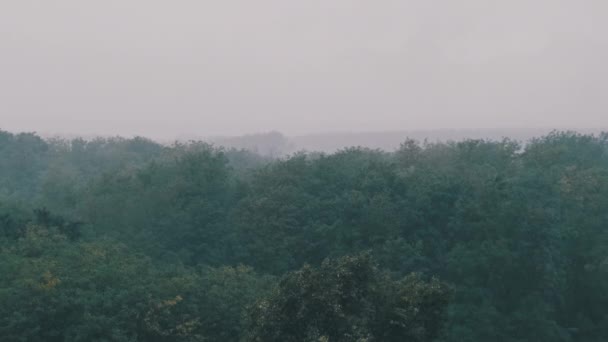 Eső Őszi Zöld Erdő Hátterében Lassított Felvételen Villámcsapás Villámlással Esőcseppek — Stock videók