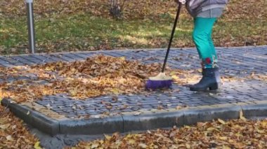 Kapıcı parkta düşmüş sarı yaprakları süpürüyor. Süpürgeyle süpürülen insanlar sonbahar parkında kaldırım taşlarının üzerinde yapraklar süpürüyor. Elektrik işçisi yeşillik topluyor. Güneşli sonbahar havasında temiz bölge..