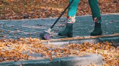Elektrik işçisi parkta düşen sarı yaprakları süpürüyor. Hademe yeşillik topluyor. Süpürgeli bir insan, sonbahar parkındaki kaldırım taşlarının yapraklarını süpürüyor. Güneşli havada sonbahar temizlik bölgesi