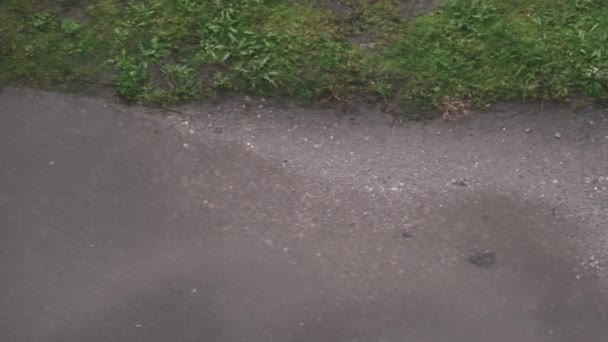빗방울 은가을 진흙투성이의 웅덩이에 서서히 떨어집니다 빗방울은 마당의 땅바닥에 떨어진다 — 비디오