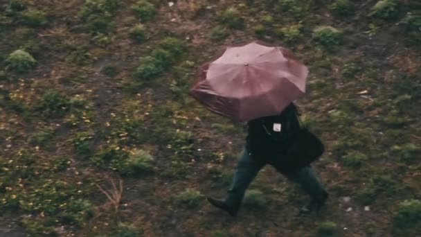 Człowiek Parasolem Spaceruje Błotnistą Ścieżką Kałużami Podczas Deszczu Zwolnionym Tempie — Wideo stockowe