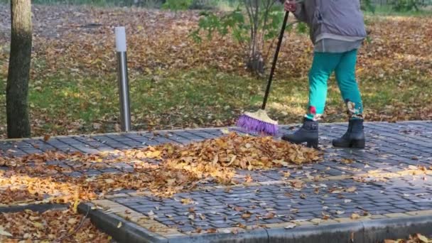 Hausmeister Fegt Umgefallenes Gelbes Laub Park Mensch Mit Besen Fegt — Stockvideo