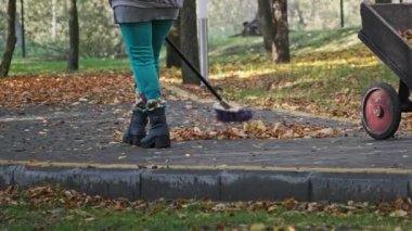 Kapıcı parkta düşmüş sarı yaprakları süpürüyor. Süpürgeyle süpürülen insanlar sonbahar parkında kaldırım taşlarının üzerinde yapraklar süpürüyor. Elektrik işçisi yeşillik topluyor. Güneşli sonbahar havasında temiz bölge..