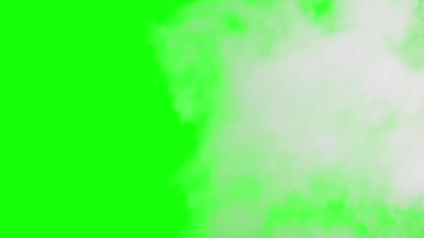 Smoke Alpha Channel Realistic Smoke Vapor Clouds Rise Transparent Background — Stock Video