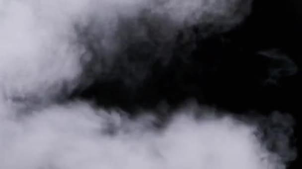 现实的烟雾或蒸气云以慢动作上升 用于合成和视频编辑 浓雾笼罩在黑色的背景上 蒸汽的抽象颗粒 — 图库视频影像