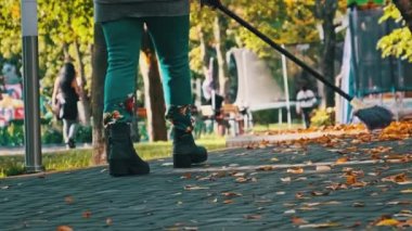 Elektrik işçisi parkta düşen sarı yaprakları süpürüyor. Hademe yeşillik topluyor. Süpürgeli bir insan, sonbahar parkındaki kaldırım taşlarının yapraklarını süpürüyor. Güneşli havada sonbahar temizlik bölgesi