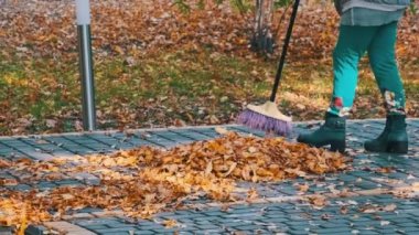 Kapıcı, şehir parkında düşmüş sarı yaprakları süpürüyor. Elektrik işçisi yeşillik topluyor. Süpürgeyle süpürülen insanlar sonbahar parkında kaldırım taşlarının üzerinde yapraklar süpürüyor. Güneşli havada sonbahar temizlik bölgesi