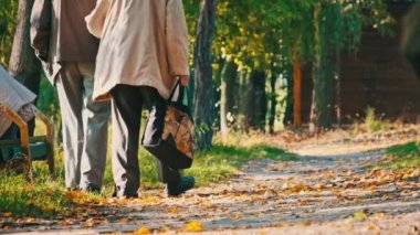 Kıdemli çift sonbahar parkında yürürken el ele tutuşuyorlar, ağır çekimde. Yaşlı emeklilerin arka planda el ele yürümeleri. Yaşlılıkta romantik bir çift. Aşk, sağlık, bakım, yaşam tarzı kavramları