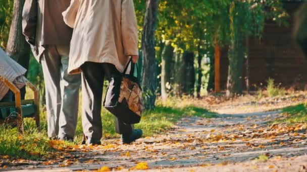 Старшая Пара Держась Руки Время Прогулки Осеннем Парке Замедленная Съемка — стоковое видео