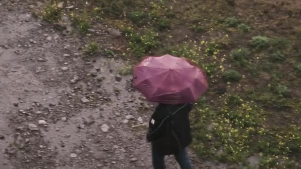우산을 가비가 내리는 살금살금 진흙투성이의 걷습니다 스러운 날에는 파라솔 시골을 — 비디오