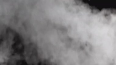 Alfa kanalı ile duman. Gerçekçi duman veya buhar bulutları şeffaf bir arkaplanda yükselir. Özel efekt, doku, görüntü, kompozit ve video montajında kullanım. Duman atmosfer sisi örtüsü. 4K