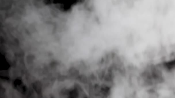 有阿尔法通道的烟雾或蒸气爆炸 现实的云彩在透明的背景下升起 用于合成和视频编辑 浓雾笼罩着浓雾 — 图库视频影像