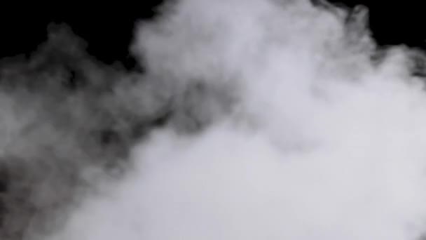 Rook Dampexplosie Met Alpha Kanaal Realistische Wolken Rijzen Transparante Achtergrond — Stockvideo