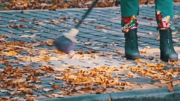看门人清扫城市公园里落下来的黄叶 公用事业工人收集树叶 秋天公园里 人类用扫帚扫着树叶铺在石头上 阳光普照的秋天里 — 图库视频影像
