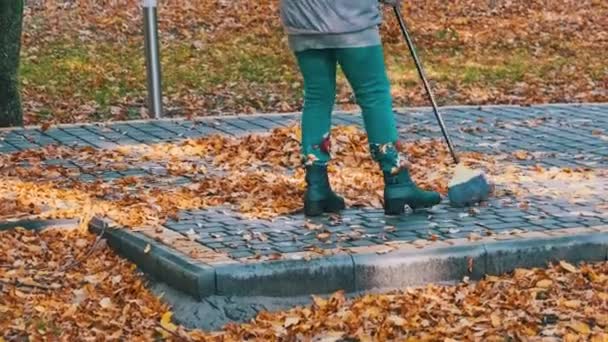 Utility Worker Sweeps Fallen Yellow Leaves Park Janitor Collects Foliage — Stock Video