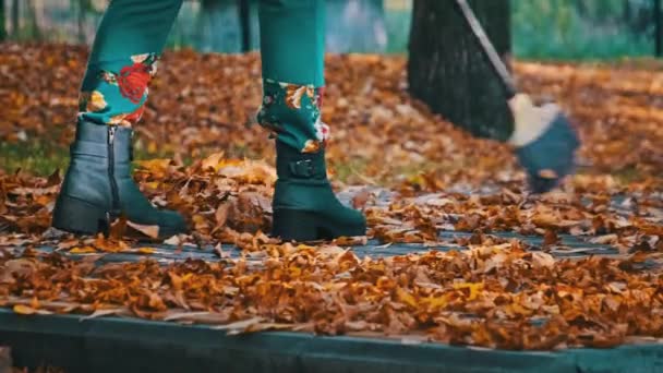 Elektrik Işçisi Parkta Düşen Sarı Yaprakları Süpürüyor Hademe Yeşillik Topluyor — Stok video