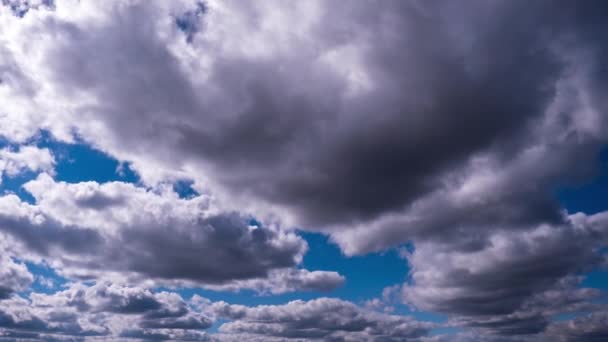 Timelapse Chmur Cumulus Poruszających Się Niebie Lato Pochmurna Przestrzeń Ciemnymi — Wideo stockowe