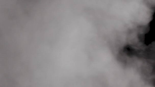 Smoke Vapor Explosion Alpha Channel Realistic Clouds Rise Transparent Background — Stock Video