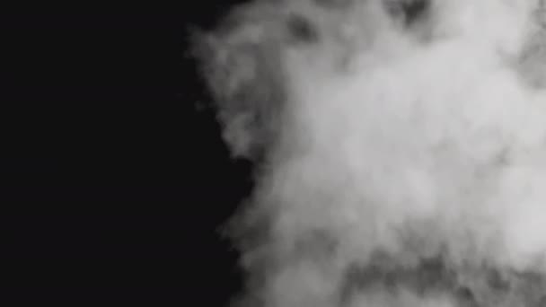 用阿尔法频道抽烟现实的烟雾或蒸气云在透明的背景下升起 用于合成和视频编辑 浓雾笼罩着浓雾 — 图库视频影像