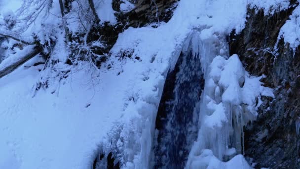 Panoramisch Uitzicht Bergen Het Bos Water Valt Onder Het Ijs — Stockvideo