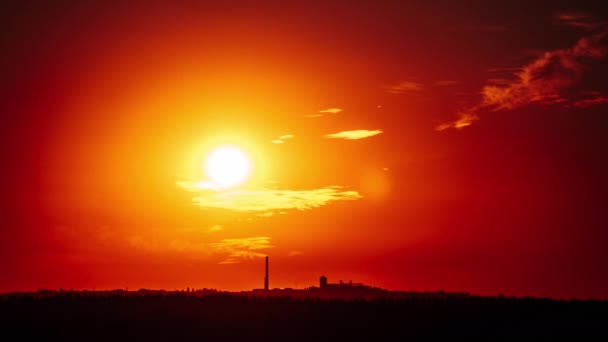 Захід Сонця Ясному Помаранчевому Небі Над Горизонтом Рослинним Завод Силует — стокове відео