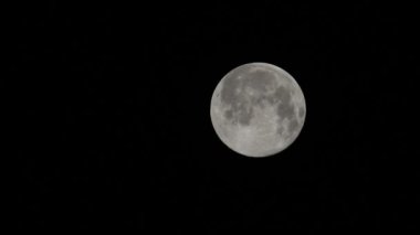 Muhteşem Kurt Ayı, Ocak 2022 'nin ilk dolunayı Hertford Heath, İngiltere' de görüldü..