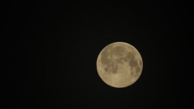 Muhteşem Worm Moon, Hertford Heath, İngiltere 'den Mart 2022' de görüldü..