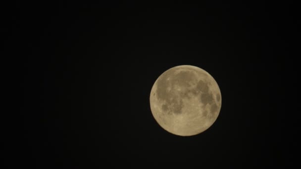 Wspaniały Worm Moon Widziany Hertford Heath Wielka Brytania Marzec 2022 — Wideo stockowe