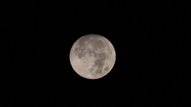 Full Hunter Moon Como Visto Hertford Heath Reino Unido — Vídeo de Stock