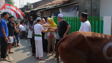 Jakarta, Endonezya - 08 11 2019: Kurban bağışçıları Jakarta sokaklarındaki Kurban Bayramı kutlamaları sırasında kurban komitesine teslim ediliyor.