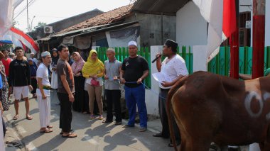 Jakarta, Endonezya - 08 11 2019: Jakarta sokaklarında düzenlenen Kurban Bayramı kutlamaları sırasında kurban edilen hayvanları kurban etmek için ipleri tutan qurban hayvan bağışçıları
